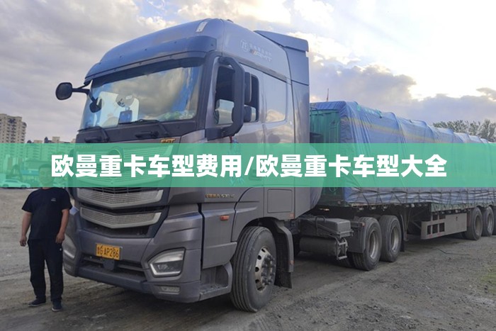 欧曼重卡车型费用/欧曼重卡车型大全 欧曼重卡车型费用/欧曼重卡车型大全