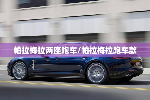 帕拉梅拉两座跑车/帕拉梅拉跑车款 帕拉梅拉两座跑车/帕拉梅拉跑车款
