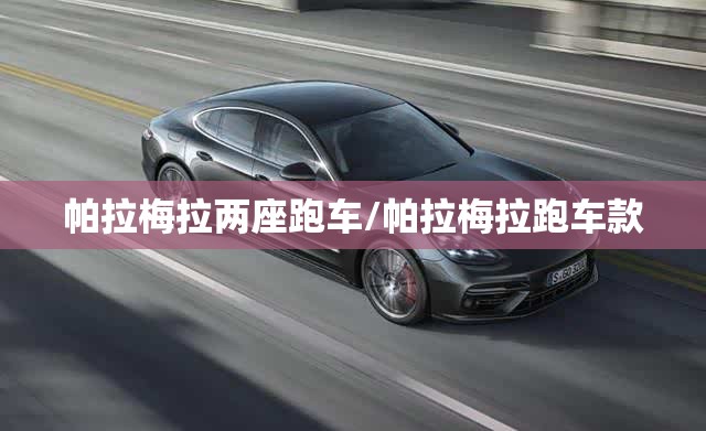 帕拉梅拉两座跑车/帕拉梅拉跑车款 帕拉梅拉两座跑车/帕拉梅拉跑车款