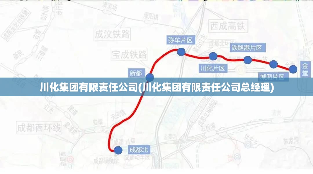 川化集团有限责任公司(川化集团有限责任公司总经理) 川化集团有限责任公司(川化集团有限责任公司总经理)
