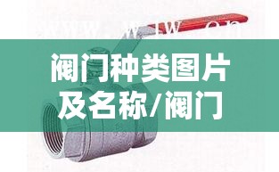 阀门种类图片及名称/阀门种类及视频介绍 阀门种类图片及名称/阀门种类及视频介绍
