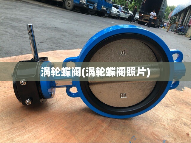 涡轮蝶阀(涡轮蝶阀照片) 涡轮蝶阀(涡轮蝶阀照片)
