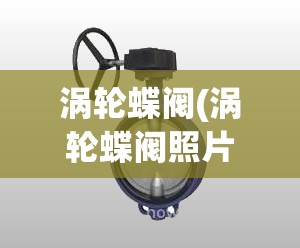 涡轮蝶阀(涡轮蝶阀照片) 涡轮蝶阀(涡轮蝶阀照片)