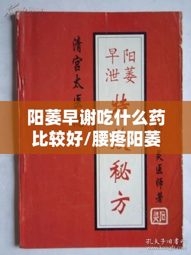 阳萎早谢吃什么药比较好/腰疼阳萎早谢吃什么药比较好 阳萎早谢吃什么药比较好/腰疼阳萎早谢吃什么药比较好