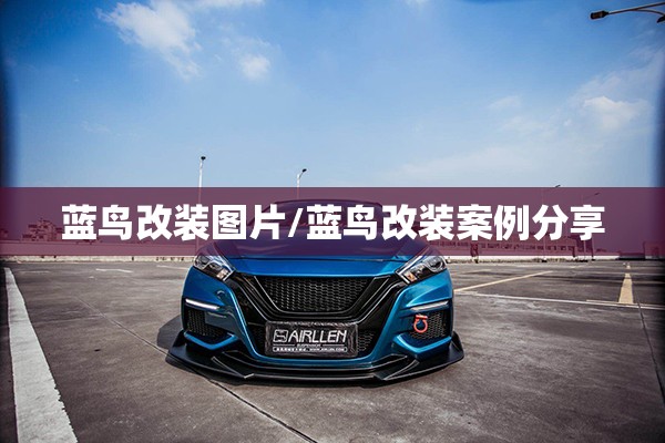 蓝鸟改装图片/蓝鸟改装案例分享 蓝鸟改装图片/蓝鸟改装案例分享