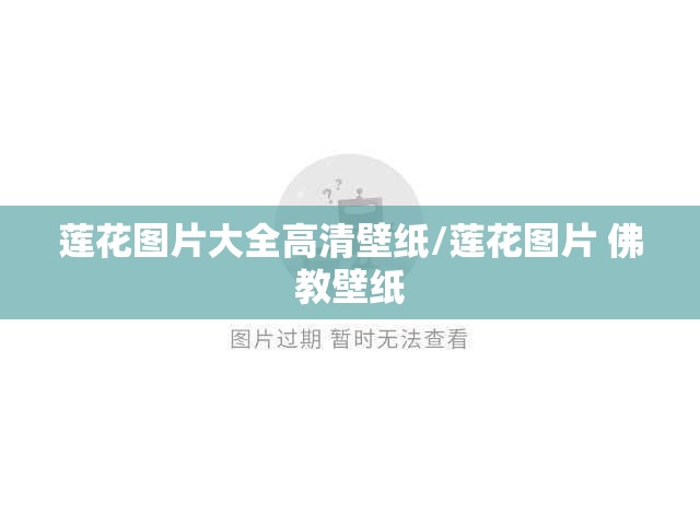 莲花图片大全高清壁纸/莲花图片 佛教壁纸 莲花图片大全高清壁纸/莲花图片 佛教壁纸