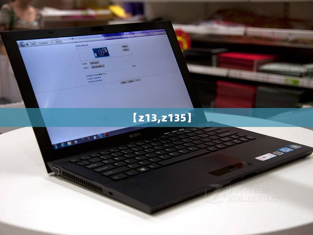 【z13,z135】 【z13,z135】