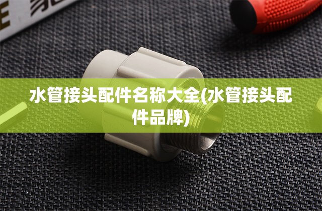 水管接头配件名称大全(水管接头配件品牌)