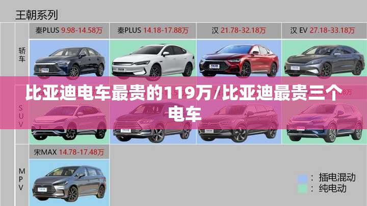 比亚迪电车最贵的119万/比亚迪最贵三个电车