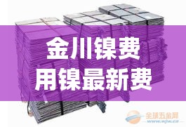 金川镍费用镍最新费用(金川镍板今天批发价)