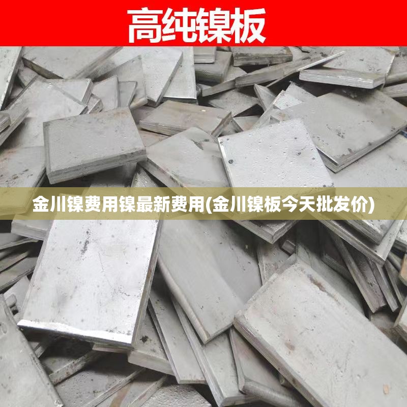 金川镍费用镍最新费用(金川镍板今天批发价)