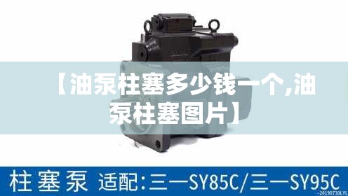 【油泵柱塞多少钱一个,油泵柱塞图片】 【油泵柱塞多少钱一个,油泵柱塞图片】