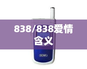 838/838爱情含义 838/838爱情含义