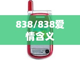 838/838爱情含义 838/838爱情含义