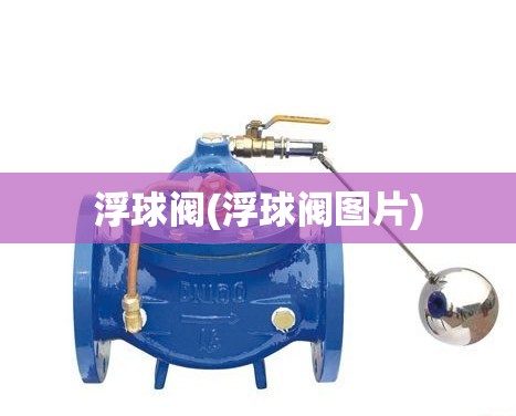 浮球阀(浮球阀图片) 浮球阀(浮球阀图片)
