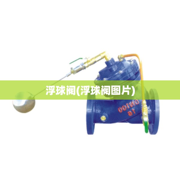 浮球阀(浮球阀图片) 浮球阀(浮球阀图片)
