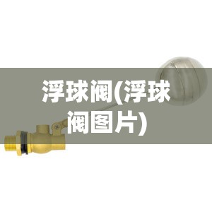 浮球阀(浮球阀图片) 浮球阀(浮球阀图片)