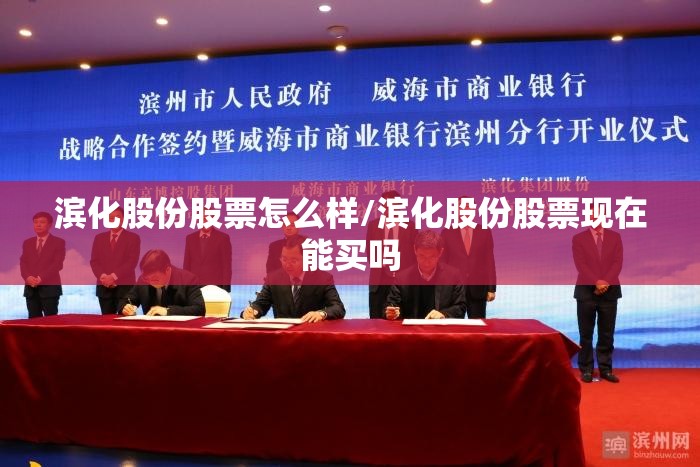 滨化股份股票怎么样/滨化股份股票现在能买吗 滨化股份股票怎么样/滨化股份股票现在能买吗