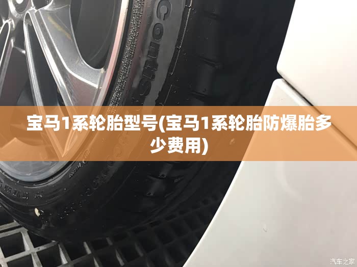 宝马1系轮胎型号(宝马1系轮胎防爆胎多少费用)