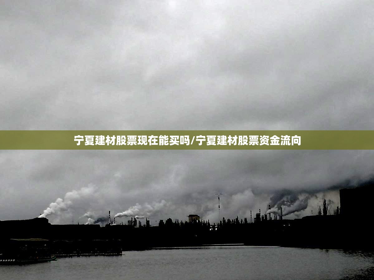 宁夏建材股票现在能买吗/宁夏建材股票资金流向