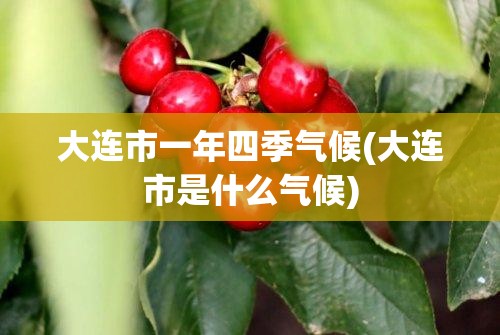 大连市一年四季气候(大连市是什么气候) 大连市一年四季气候(大连市是什么气候)