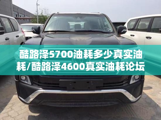 酷路泽5700油耗多少真实油耗/酷路泽4600真实油耗论坛 酷路泽5700油耗多少真实油耗/酷路泽4600真实油耗论坛