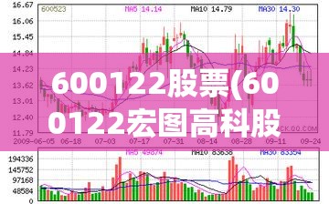 600122股票(600122宏图高科股票)