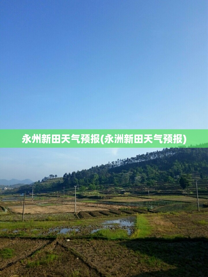 永州新田天气预报(永洲新田天气预报) 永州新田天气预报(永洲新田天气预报)