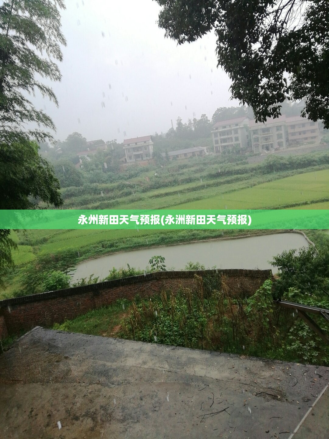 永州新田天气预报(永洲新田天气预报) 永州新田天气预报(永洲新田天气预报)