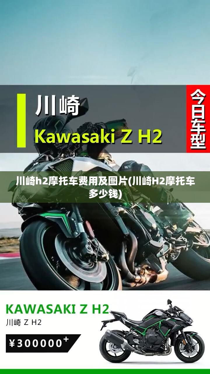 川崎h2摩托车费用及图片(川崎H2摩托车多少钱) 川崎h2摩托车费用及图片(川崎H2摩托车多少钱)