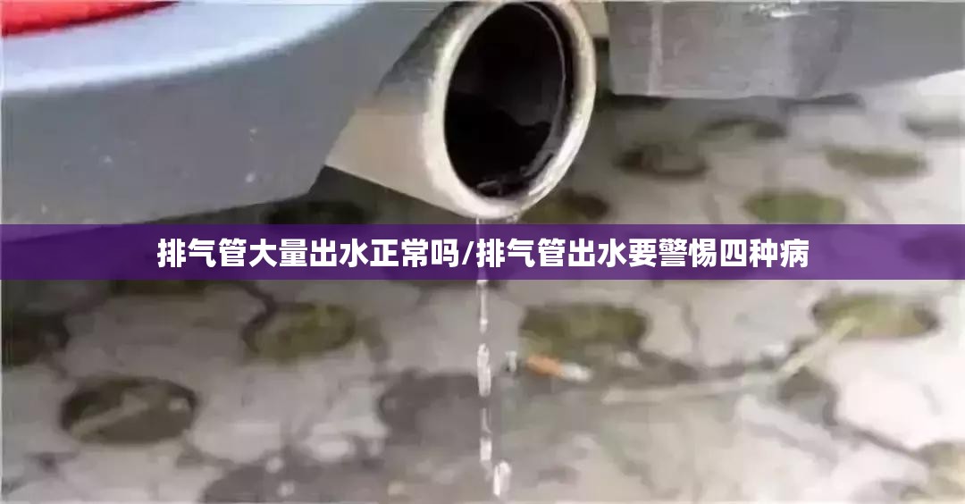 排气管大量出水正常吗/排气管出水要警惕四种病