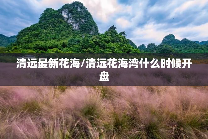 清远最新花海/清远花海湾什么时候开盘 清远最新花海/清远花海湾什么时候开盘