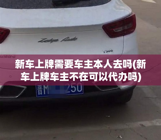 新车上牌需要车主本人去吗(新车上牌车主不在可以代办吗) 新车上牌需要车主本人去吗(新车上牌车主不在可以代办吗)