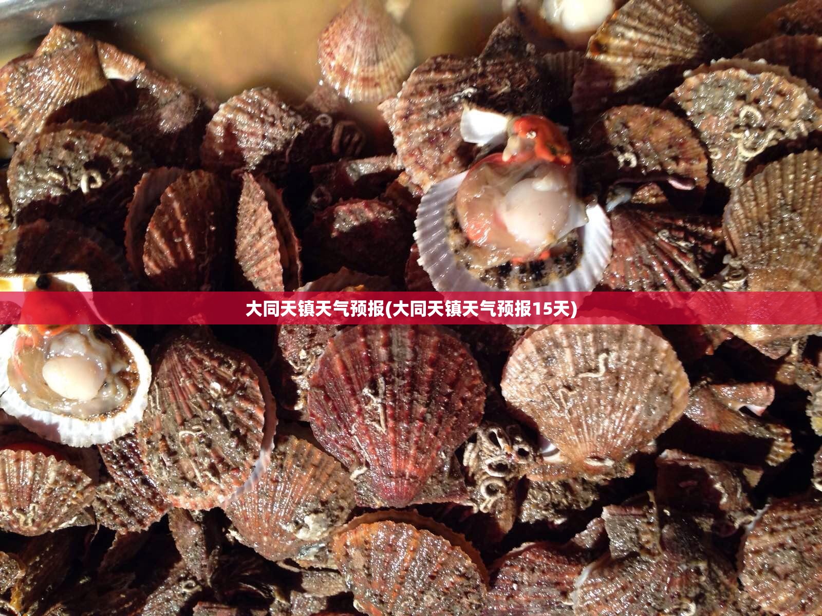 大同天镇天气预报(大同天镇天气预报15天) 大同天镇天气预报(大同天镇天气预报15天)