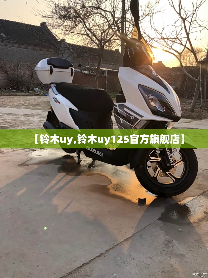 【铃木uy,铃木uy125官方旗舰店】