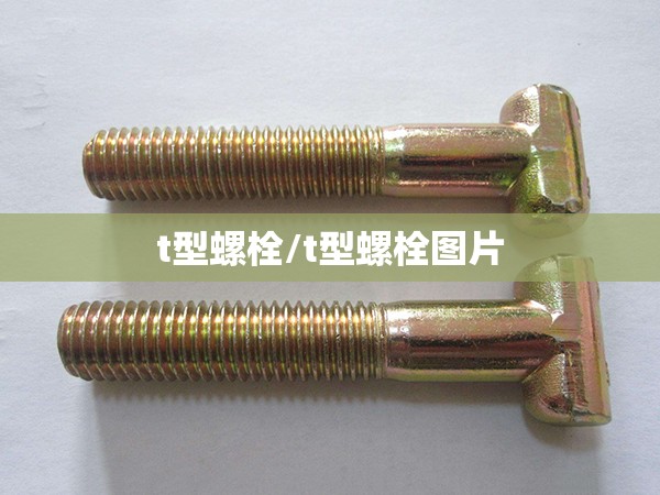 t型螺栓/t型螺栓图片 t型螺栓/t型螺栓图片