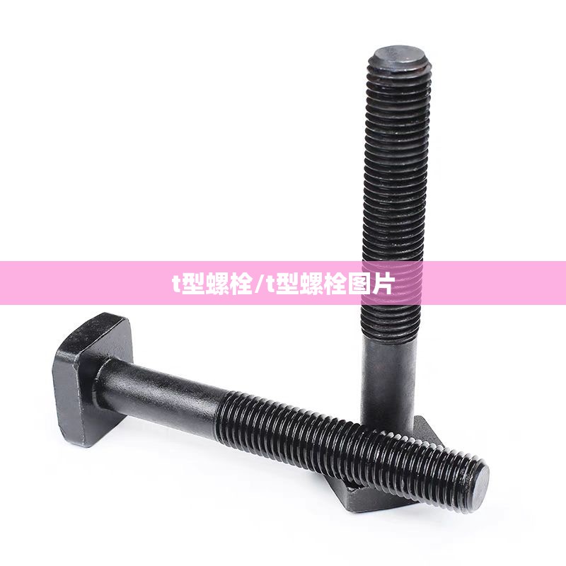 t型螺栓/t型螺栓图片 t型螺栓/t型螺栓图片