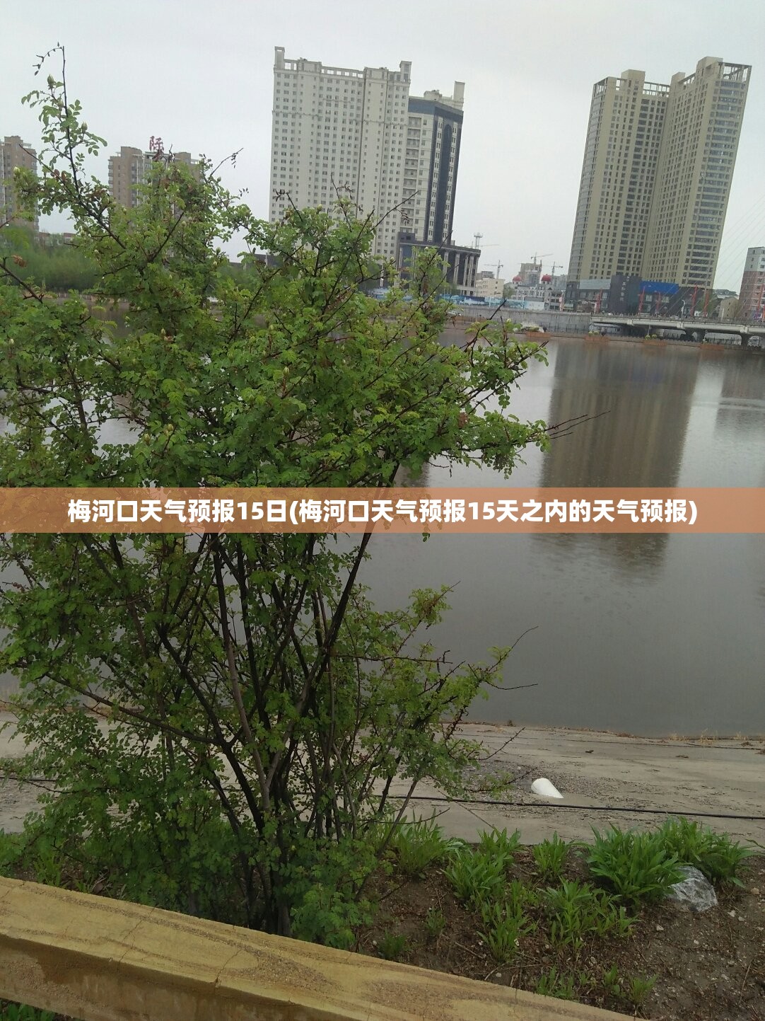 梅河口天气预报15日(梅河口天气预报15天之内的天气预报) 梅河口天气预报15日(梅河口天气预报15天之内的天气预报)