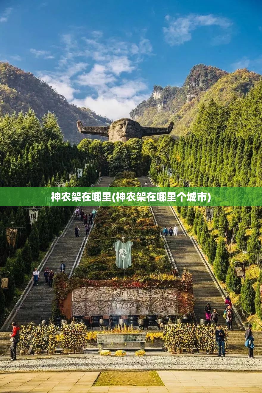 神农架在哪里(神农架在哪里个城市) 神农架在哪里(神农架在哪里个城市)