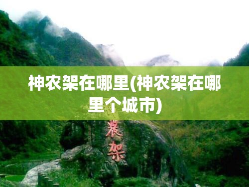 神农架在哪里(神农架在哪里个城市) 神农架在哪里(神农架在哪里个城市)