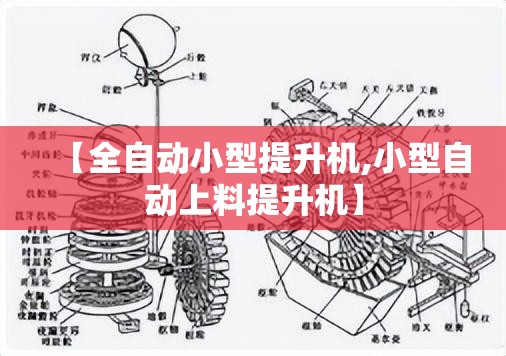 【全自动小型提升机,小型自动上料提升机】 【全自动小型提升机,小型自动上料提升机】