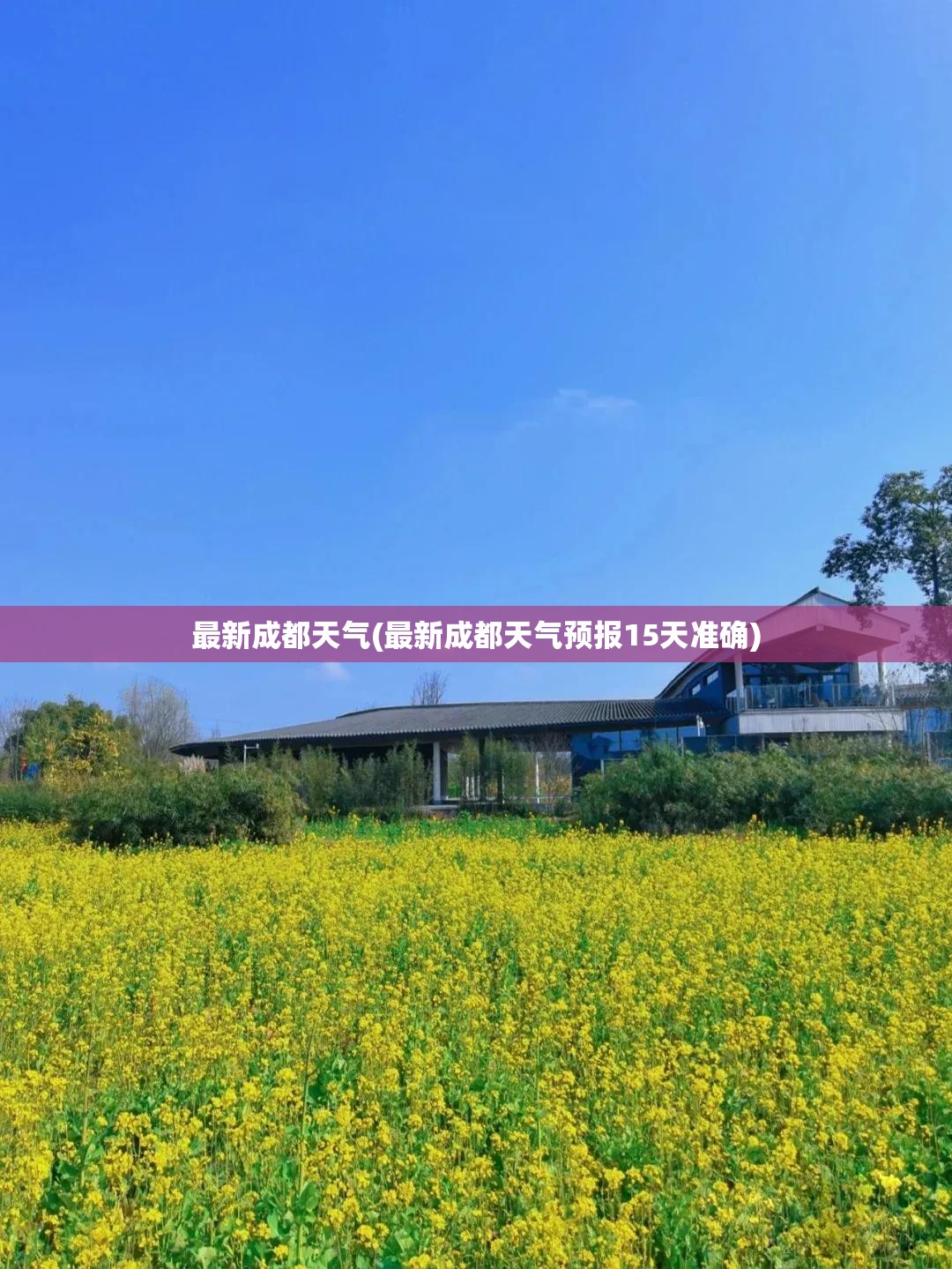 最新成都天气(最新成都天气预报15天准确)
