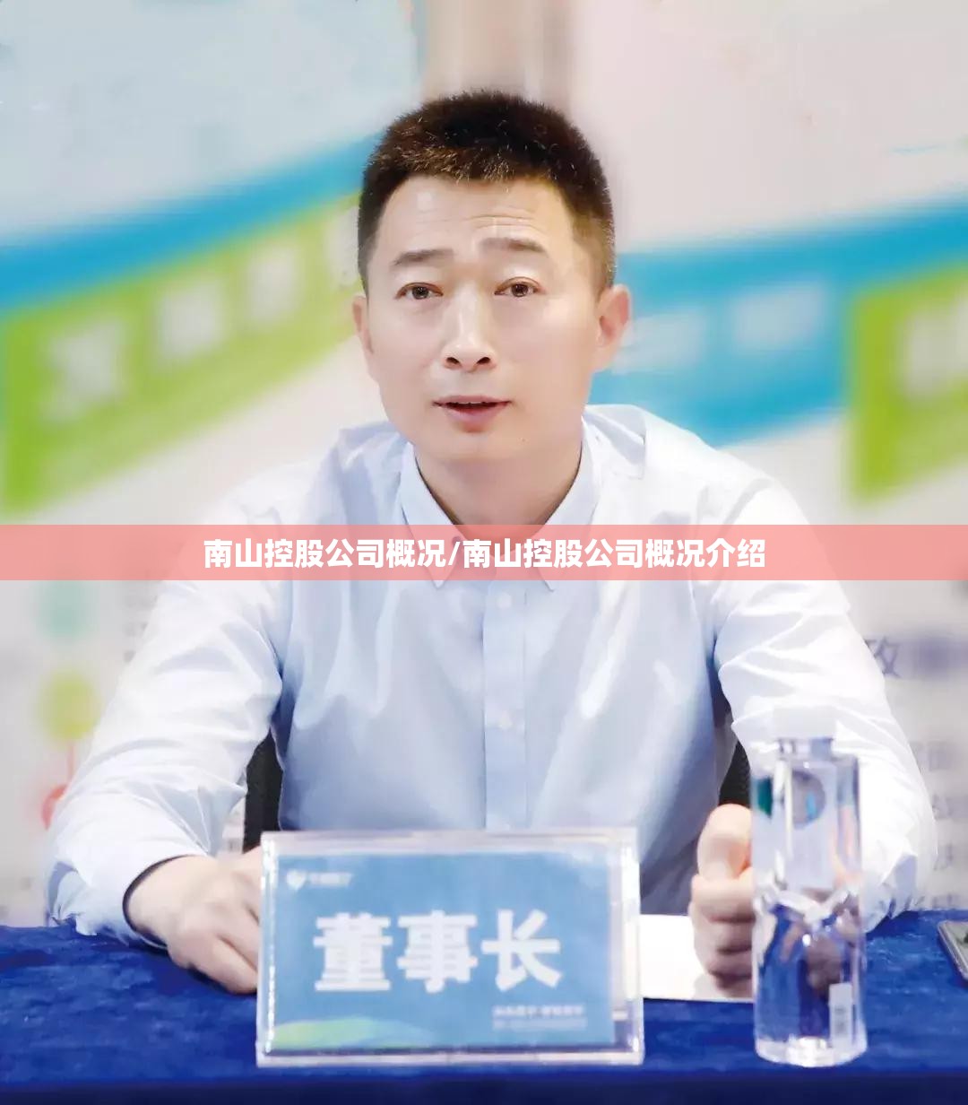 南山控股公司概况/南山控股公司概况介绍 南山控股公司概况/南山控股公司概况介绍