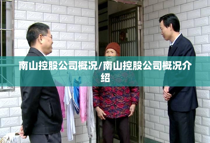 南山控股公司概况/南山控股公司概况介绍 南山控股公司概况/南山控股公司概况介绍