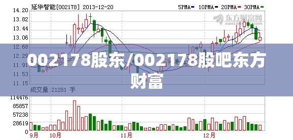 002178股东/002178股吧东方财富 002178股东/002178股吧东方财富