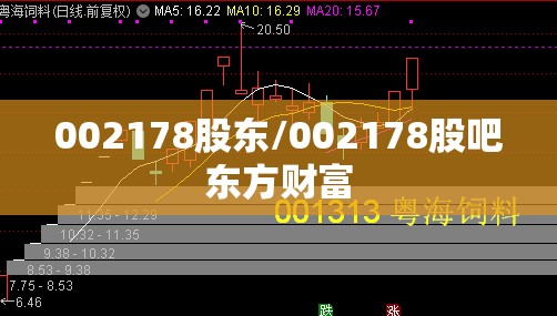 002178股东/002178股吧东方财富 002178股东/002178股吧东方财富