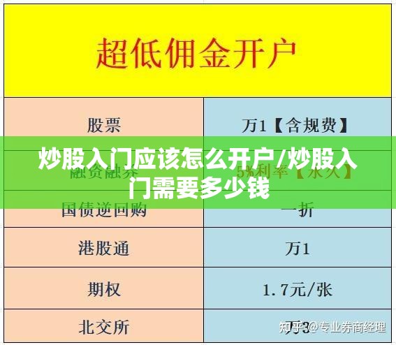 炒股入门应该怎么开户/炒股入门需要多少钱 炒股入门应该怎么开户/炒股入门需要多少钱