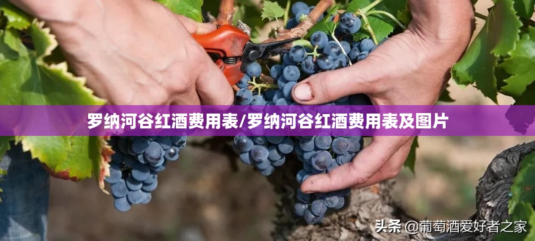 罗纳河谷红酒费用表/罗纳河谷红酒费用表及图片