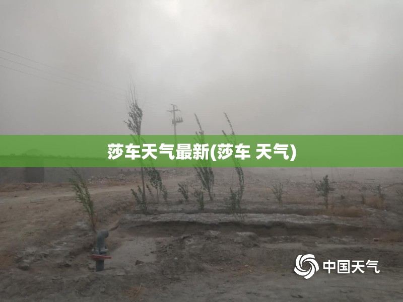 莎车天气最新(莎车 天气) 莎车天气最新(莎车 天气)