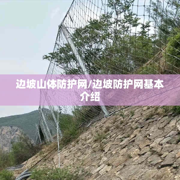 边坡山体防护网/边坡防护网基本介绍 边坡山体防护网/边坡防护网基本介绍